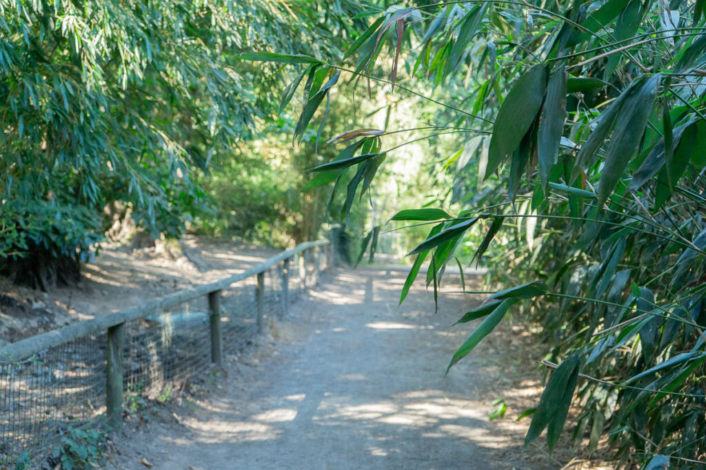 Parc animalier