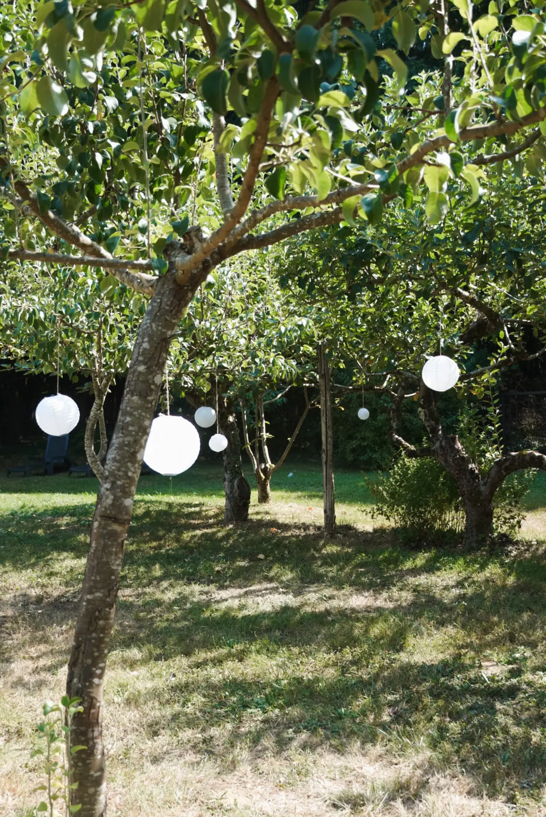 Jardin avec lanternes
