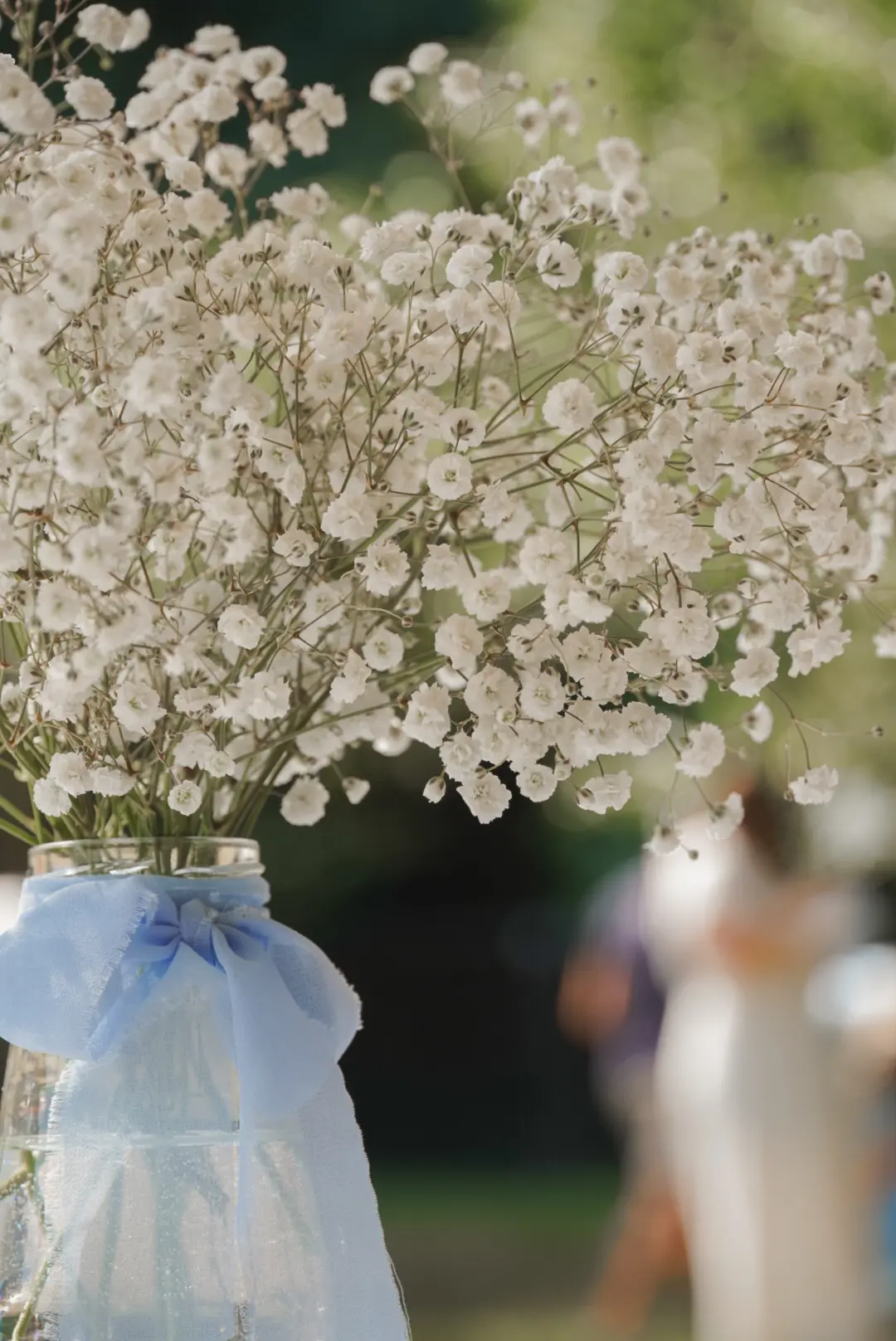 Vase avec ruban bleu et bouquet de gypsophile