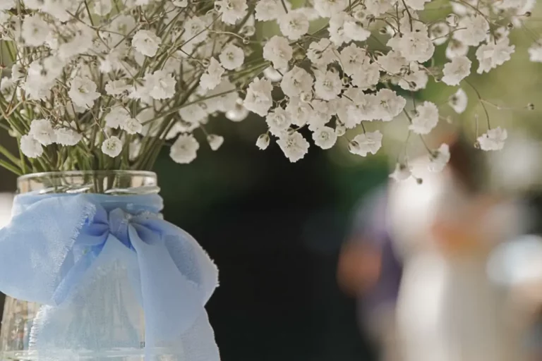Vase avec ruban bleu et bouquet de gypsophile